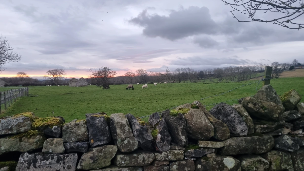 Teesdale views