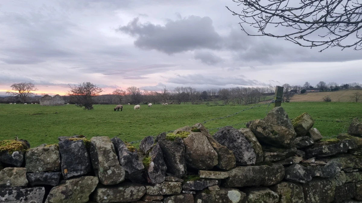 Teesdale countryside