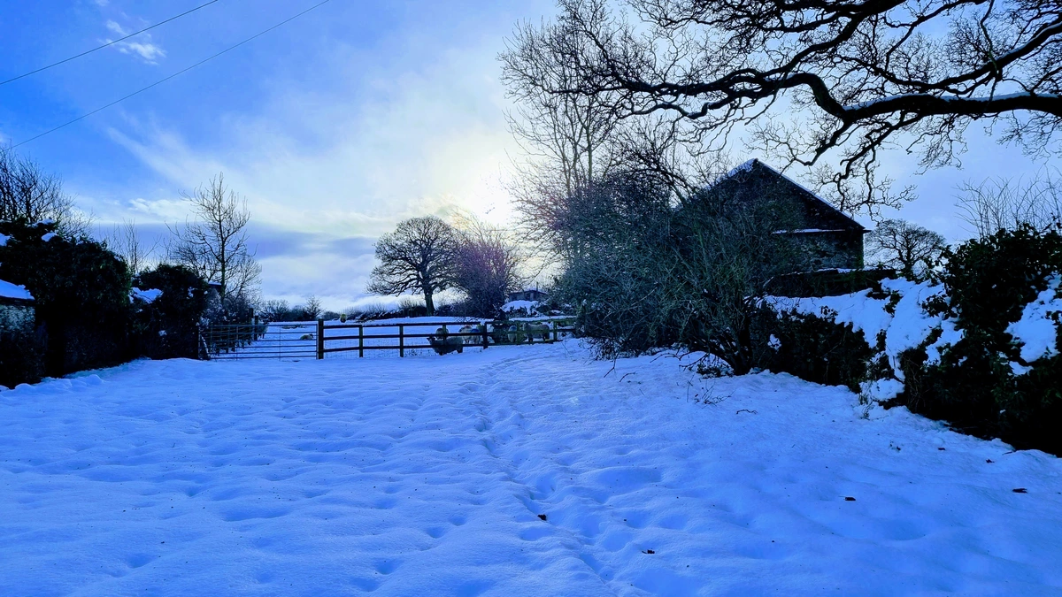 Village scenery