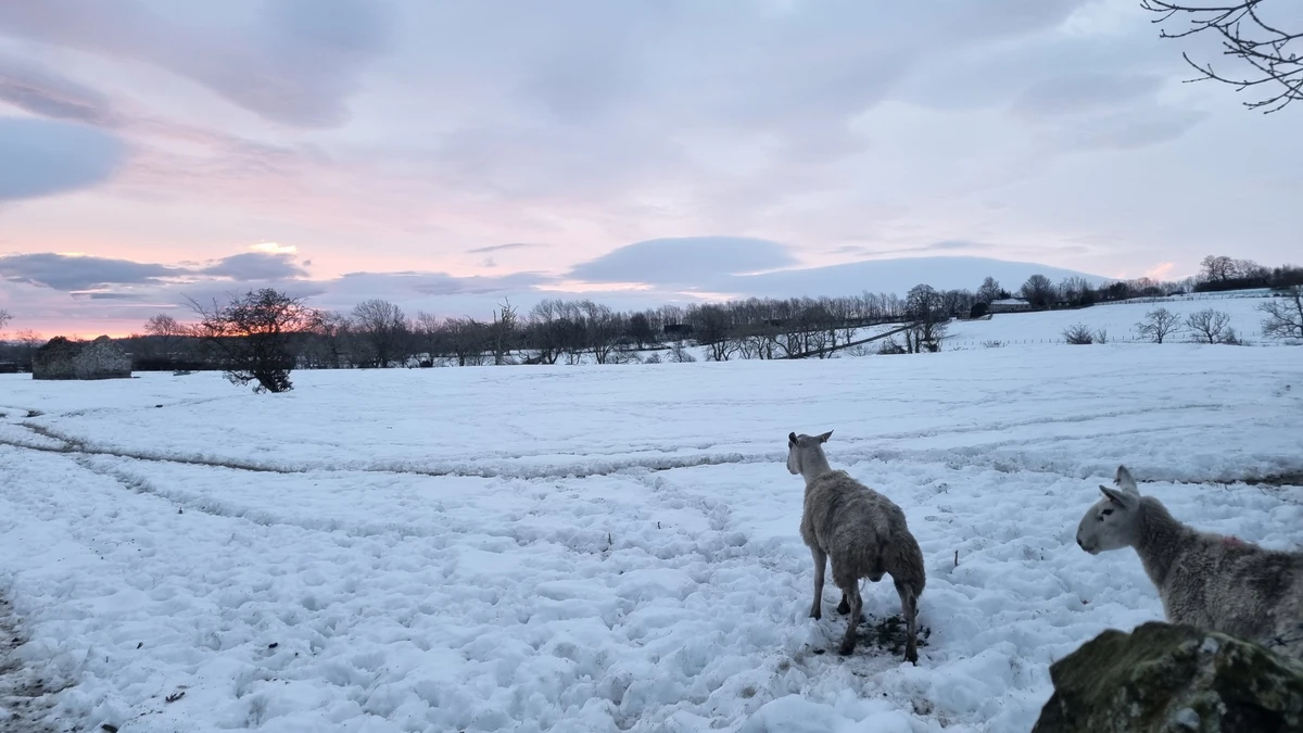 Teesdale landscape