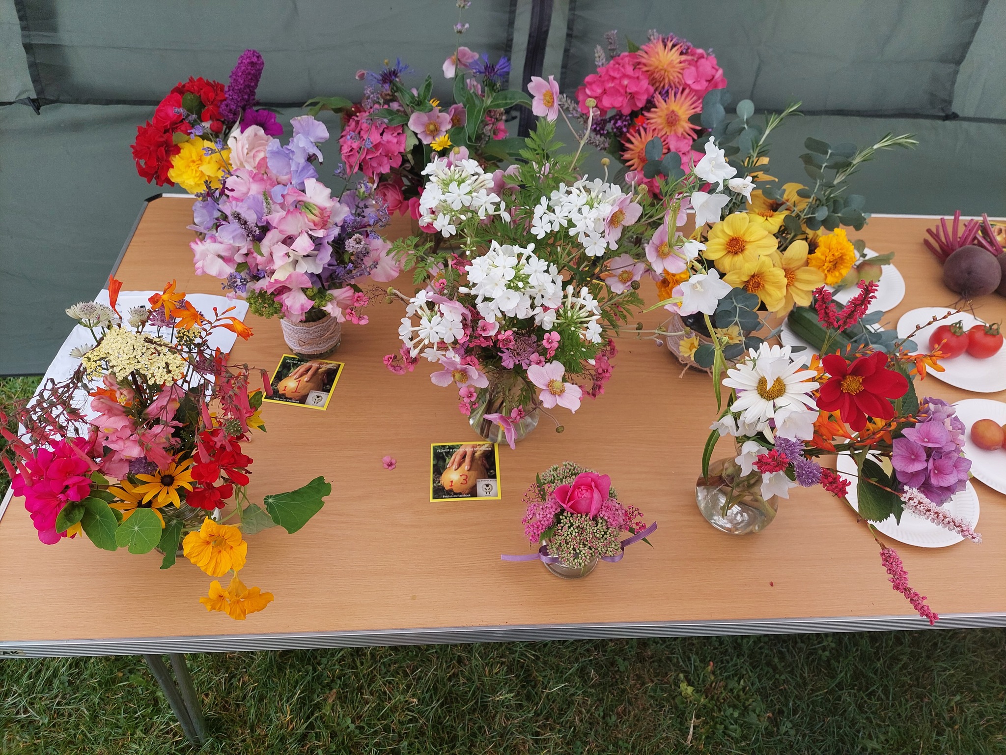 Colorful garden flowers
